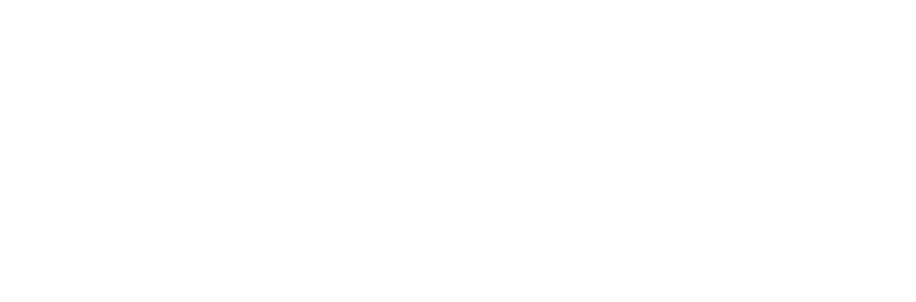 dp Software Solutions